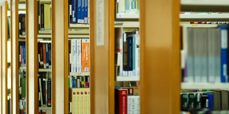 Kuvituskuva, jossa on kirjahyllyjä. Lieköhän Lundiaa. 