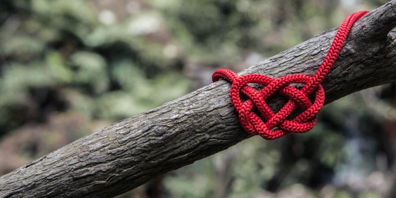 Punaisesta köydestä solmittu sydän puun rungon päällä.