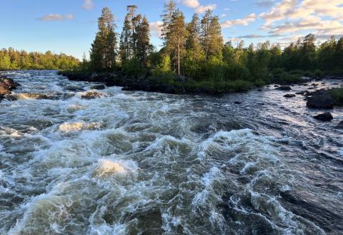 Jäniskoski, Inari
