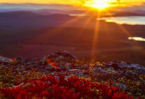 Aurinko laskee luonnonmaiseman yllä